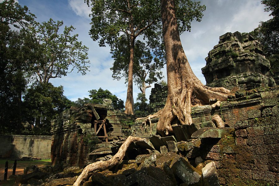 IMG_1301.JPG - Ta Phrom Tempel