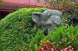 IMG_1190
