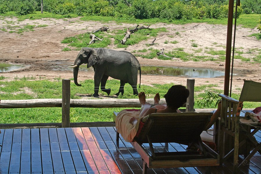 IMG_6466.JPG - Schne Aussicht - Savuti Safari Lodge