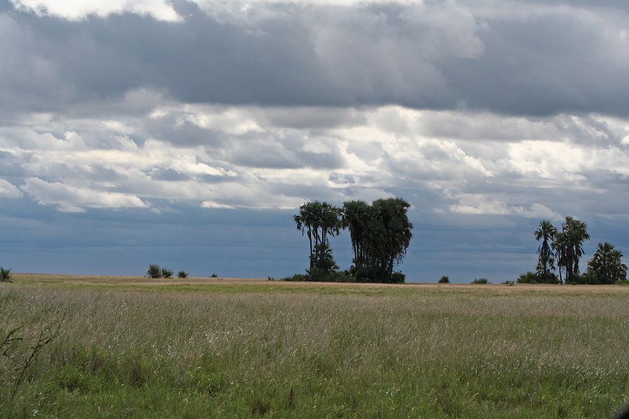 IMG_6789.JPG - Regenwolken am Horizont