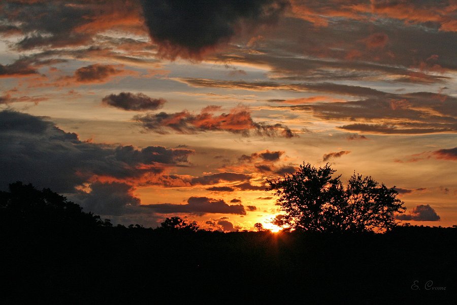 IMG_7157.JPG - Sonnenuntergang im Tuliblock