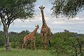 IMG_7204