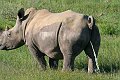 IMG_7457