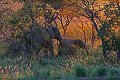 IMG_7479