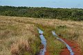 IMG_7536