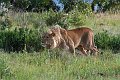 IMG_7590