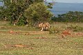 IMG_7598