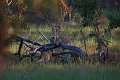 IMG_7628