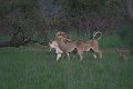 IMG_7635