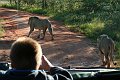 IMG_7705