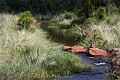 IMG_7736