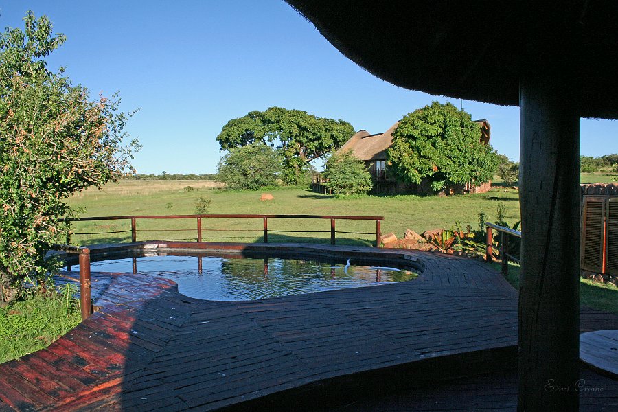 IMG_8717.JPG - Clearwater Kudu Lodge