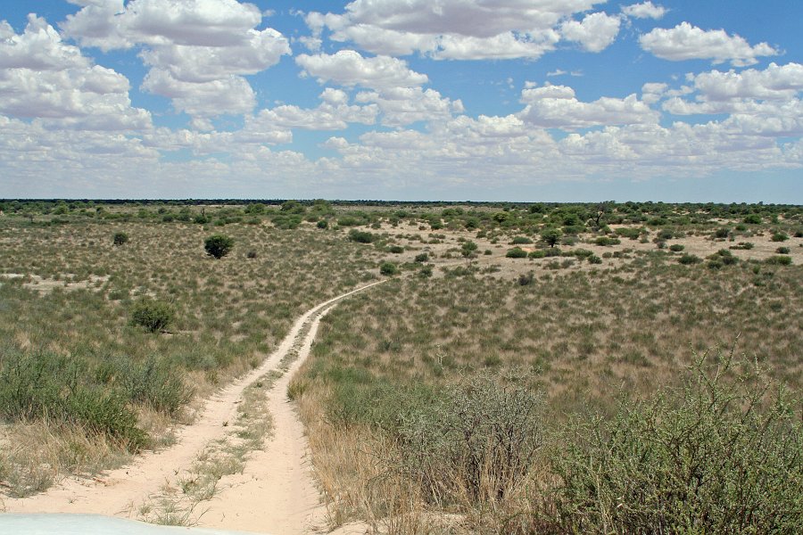 IMG_8844.JPG - Gemsbok Wilderness Trail