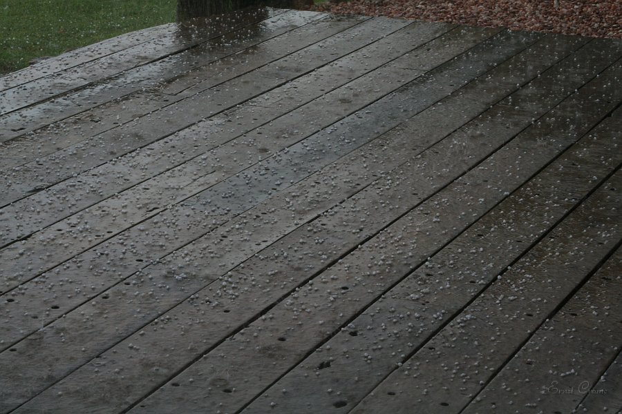 IMG_9035.JPG - Hagel