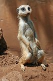 IMG_1262