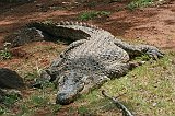 IMG_1269