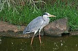 IMG_1271