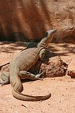 IMG_1279