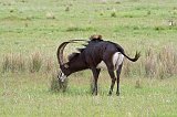 IMG_1297