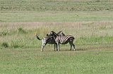 IMG_1307