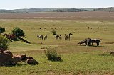IMG_1310