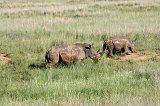 IMG_1318
