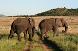IMG_1349
