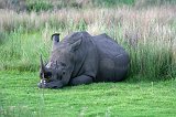 IMG_1353