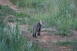 IMG_1357