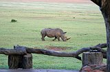 IMG_1360