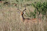 IMG_1362