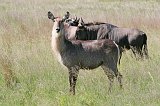 IMG_1379