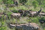 IMG_1388