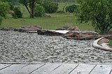 IMG_1389