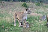 IMG_1477