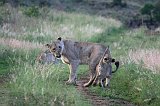IMG_1485
