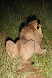 IMG_1514