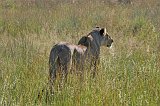 IMG_1539