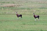 IMG_1543
