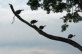 IMG_1557