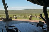 IMG_9011