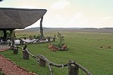 IMG_9029
