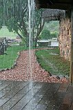 IMG_9036
