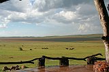 IMG_9052