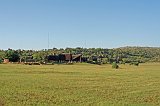 IMG_9064