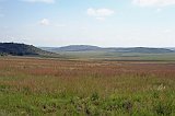 IMG_9072