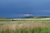 IMG_9077