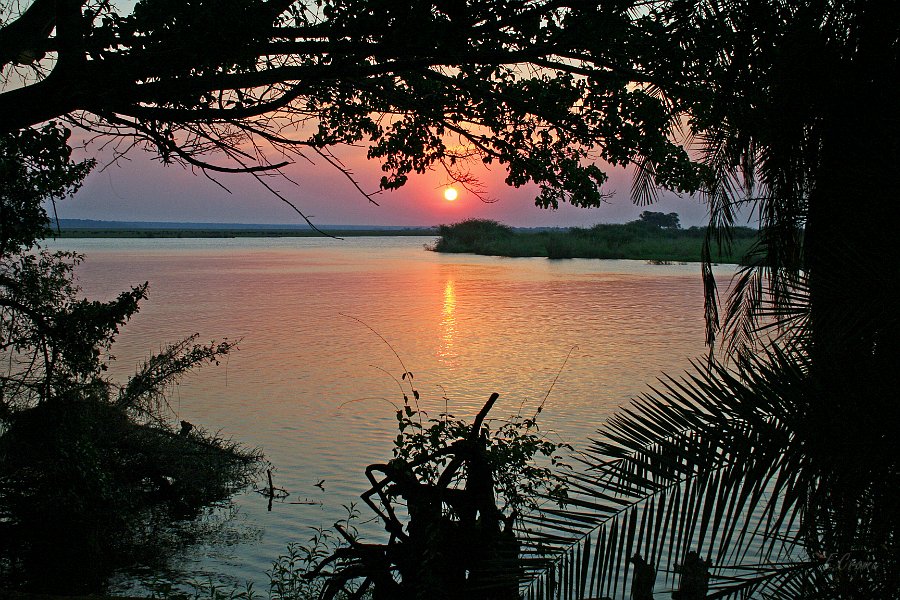 IMG_1290_350.JPG - Abendrot am Chobe River