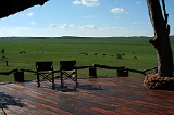 IMG_1735_350