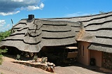 IMG_1806_350